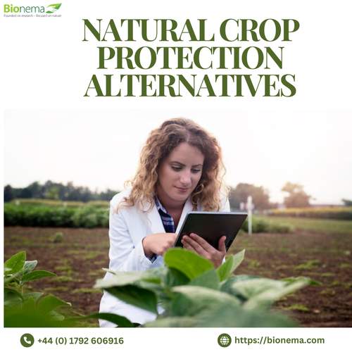 Natural Crop Protection Alternatives: Safe & Sustainable Solutions.png