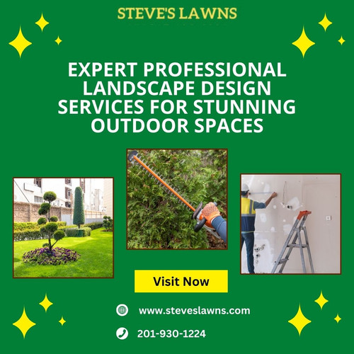 Enhance Curb Appeal with Professional Landscape Design Experts.jpg