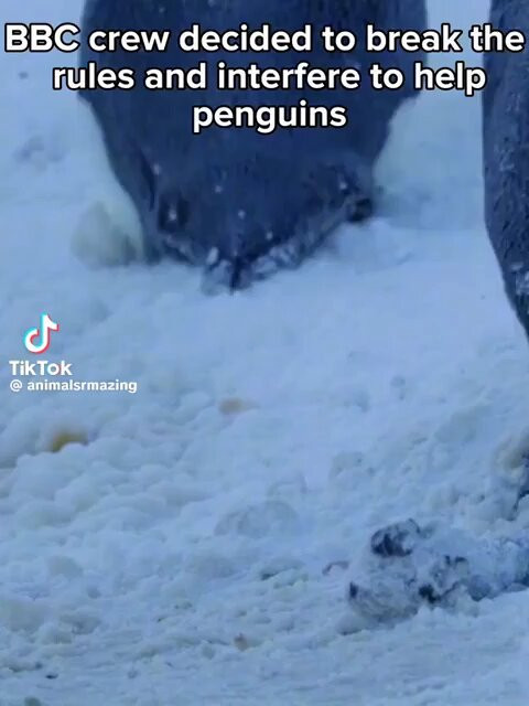 pCzCXdblKmL kOh0.jpg