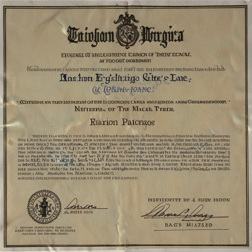 Leonardo Lightning XL Official Land Ownership Deed Certificate 3.jpg
