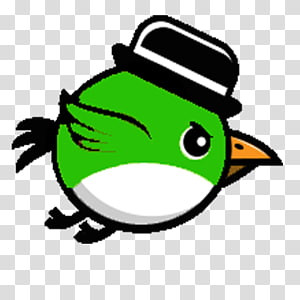 bird.jpg