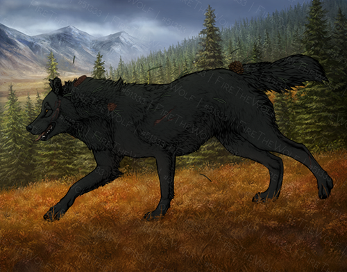 image 2025 03 18 120256864.png