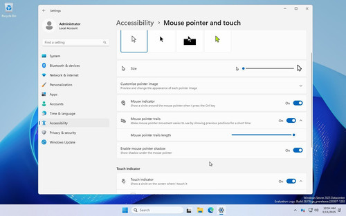 Mouse options in Windows 11 Settings 04.jpg