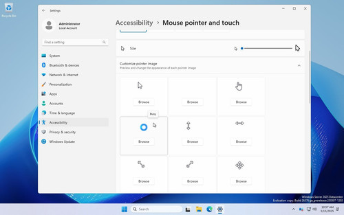 Mouse options in Windows 11 Settings 03.jpg