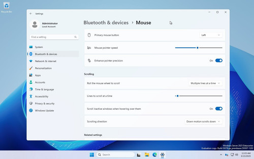 Mouse options in Windows 11 Settings 01.jpg