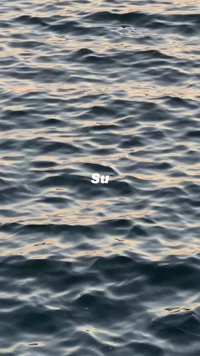 ZRSTO3ZgU rN9tzc.jpg