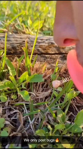 8U9Ji3dWm d4Wdrd.jpg