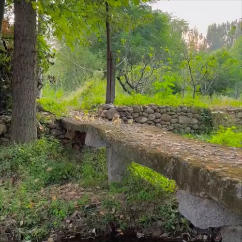 gUQ00JYTfS70fS2z.jpg