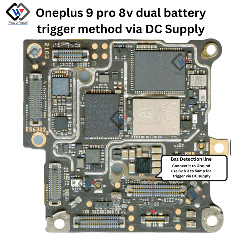Bat Detection line.png