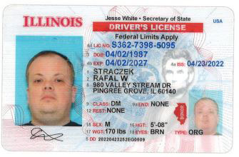 Rafal W Straczek license image.jpg