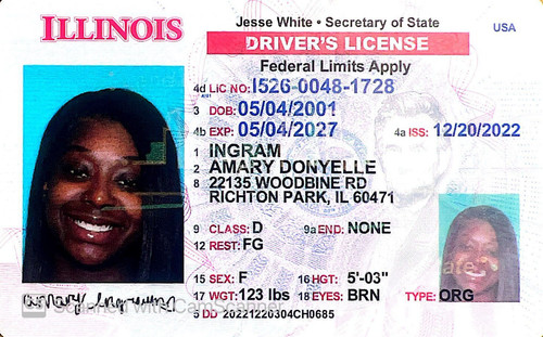 Amary Donyelle Ingram license image.jpg