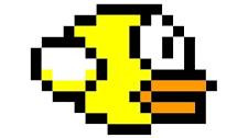 FLAPPY IMAGE.jpg