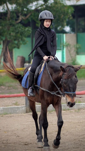image search 1742310807343.jpg