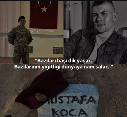 GmRbdlUWAAAS8 4.jpg