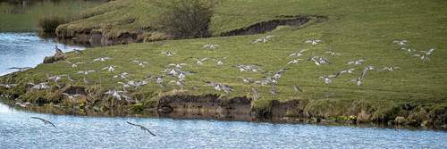 GmO4pddaEAAzZGz.jpg