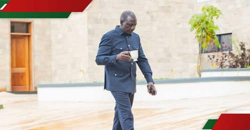 13499044883649680648?url=https%3A%2F%2Fcdn.tuko.co.ke%2Fimages%2F1200x675%2Fa5f155173dddfc68.jpeg%3F.jpg