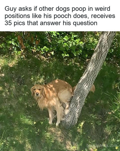 481212892 937144208634842 2702444549739771062 n.jpg