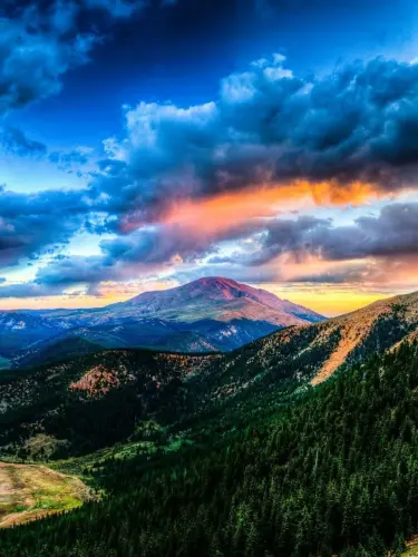 1440p nature background ieh7yu9lezwt1mwe.webp
