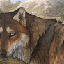 OvercastHaze[ENVIRONMENT] Thumbnail.png