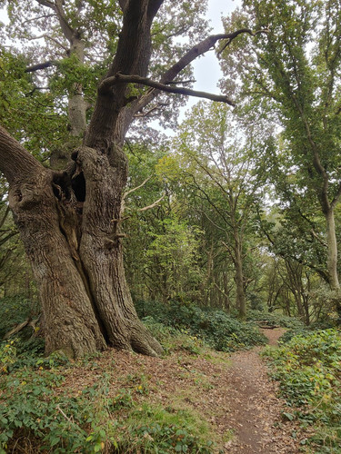 GmTjSuubsAEW6sm.jpg