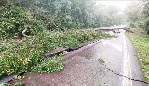 RS 50610002388202459 6.png