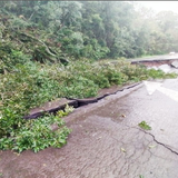 RS 50610002388202459 6