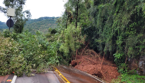 RS 50610002388202459 2.png