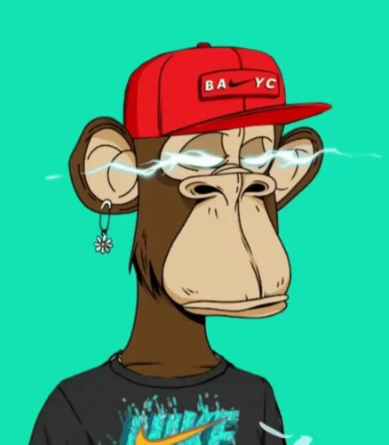 2Ia5rLEkk0xM0gr6.jpg