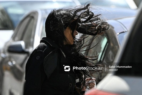 UZYCBwXvkG v6GGkadjy1Eojj7HcCl lVkpGFE79Dh9Qgw4VkdcP1bvQU7ufmYjtxY8NPNODd9auTkc vvWgFsCJosD E58WTJ6K.jpg