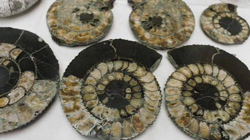 tFFRJG7408xPOAqe Gz0J0lshIwrrglbV xE0rjlOtIwohDtoEZj2f UXoTJZIMEICE1Qs6H9qIFj7eHm KzYcZ0NDOnWZ0XWMRB.jpg