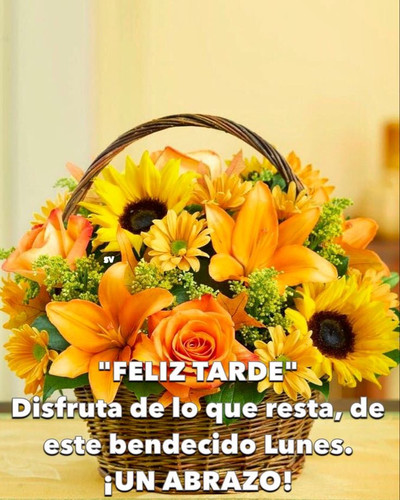 c3c24f71df1145ca752cc10507b53915 (1).jpg