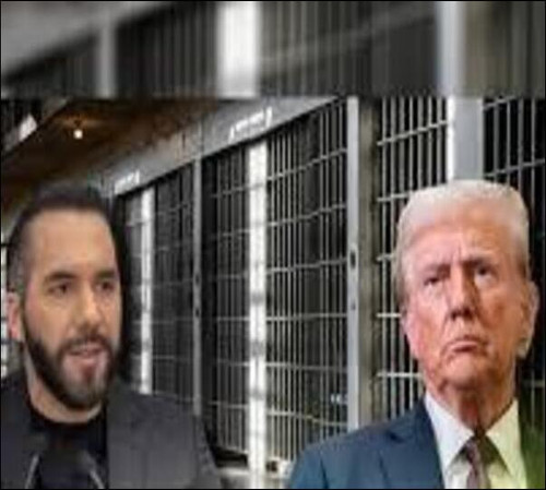 174230063392386185 (2).jpg