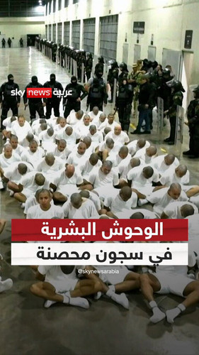 E4PeRr2DSOd Ch N.jpg