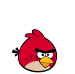 BIRD IMAGE.png