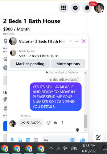 11.png