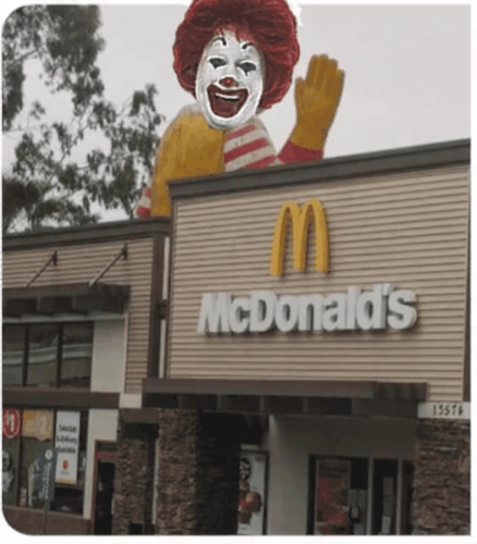 GIF 20250318 114713 028.gif