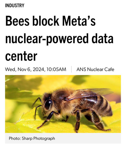 GmVFZwSbUAAo1Wl.jpg