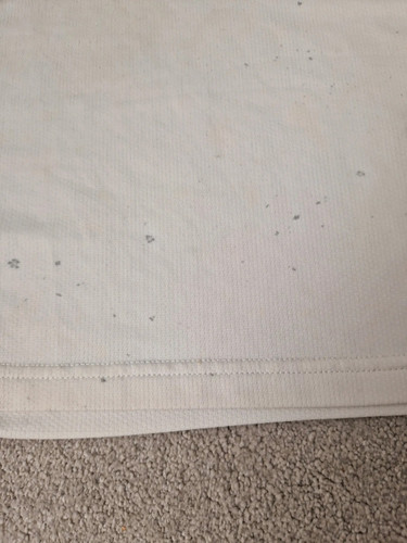 IMG 5581.jpg