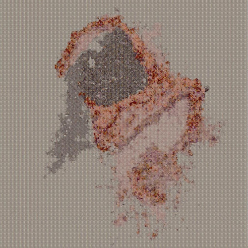 48349863333775828006998168440684.jpg