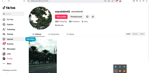 Screenshot 4.png