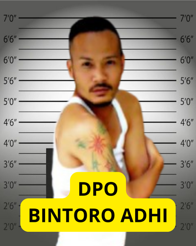 dpo bintoro adhi