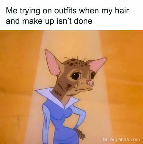 funny relatable female memes15 64df5627a482a 700.jpg