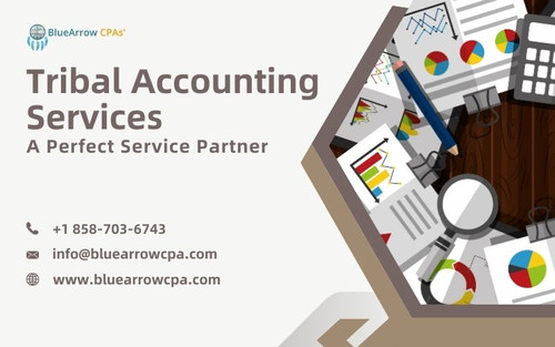 Tribal Accounting Services (1).jpg