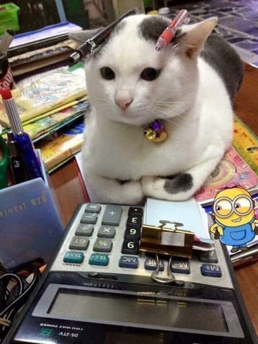 Gl7pzehWIAARBVu.jpg