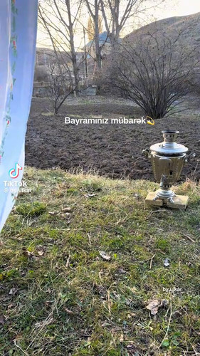 LD9gGio27h544 LY.jpg