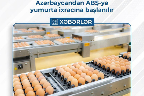 eLM4z8Bje9Jk1ZvCzDp2X8wxNCfg4gnmKVd6cWG3j6ujFN3 rYHX5nQf H9C8LtE15a2Lz5WbNGEf2rhMin6nfofVxcaPeTDMdHz.jpg