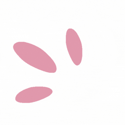 Untitled design.gif