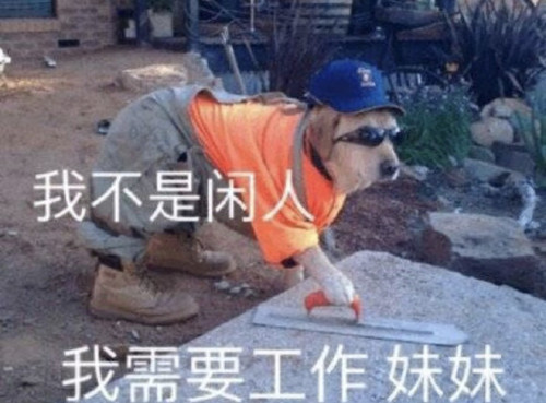 IMG 20250318 173343.jpg