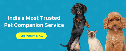 India's Most Trusted Pet Companion Service.png