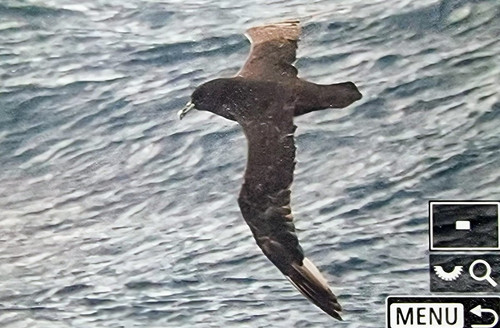 GmRcaVJbAAEya7W.jpg